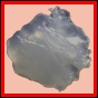fungra_2119_b_001