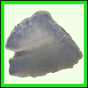 fungra_2120_b_001