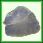 fungra_2121_b_001