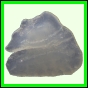 fungra_2122_a_001