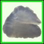 fungra_2122_b_001