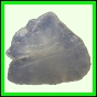 fungra_2124_a_001