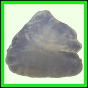 fungra_2124_b_001