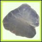 fungra_2125_a_001