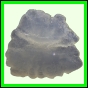 fungra_2126_b_002