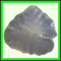 fungra_2127_a_001