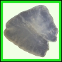 fungra_2128_b_002