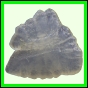 fungra_2129_a_001