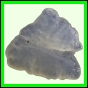 fungra_2129_b_002