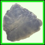 fungra_2130_b_002