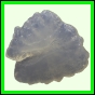 fungra_2131_b_002