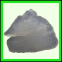 fungra_2133_a_001