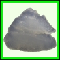 fungra_2133_b_001