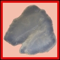 fungra_2134_a_001