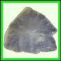 fungra_2136_b_005
