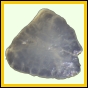 fungra_2137_b_007