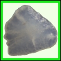 fungra_2138_a_007