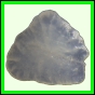 fungra_2138_b_009