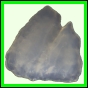 fungra_2140_b_012
