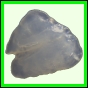 fungra_2141_b_012