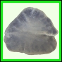 fungra_2567_a_001