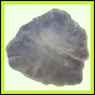 fungra_2568_b_002