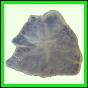 fungra_2569_a_001