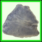 fungra_2569_b_001