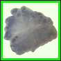 fungra_2570_a_001