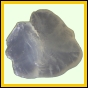 funpul_2116_b_001