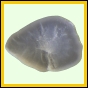 gamhol_2233_a_002