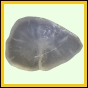 gamhol_2233_b_001