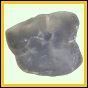 gobbos_2449_b_002