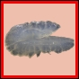 harjag_1514_a_002