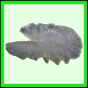 harjag_1514_b_001