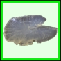 harjag_1515_b_002