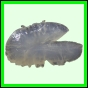 harjag_1518_a_001