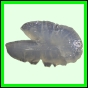 harjag_1518_b_002