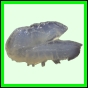 harjag_1520_a_001