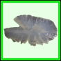harjag_1523_b_001