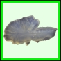 harjag_1524_a_002