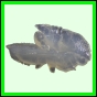 harjag_1524_b_001