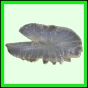 harjag_1527_b_002