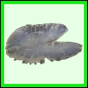 harjag_1533_b_001