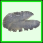 harjag_1535_a_002