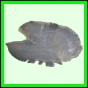 harjag_1537_b_001