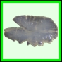 harjag_673_b_002