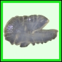harjag_679_a_002
