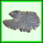 harjag_691_a_002