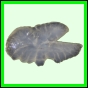 harjag_697_b_003